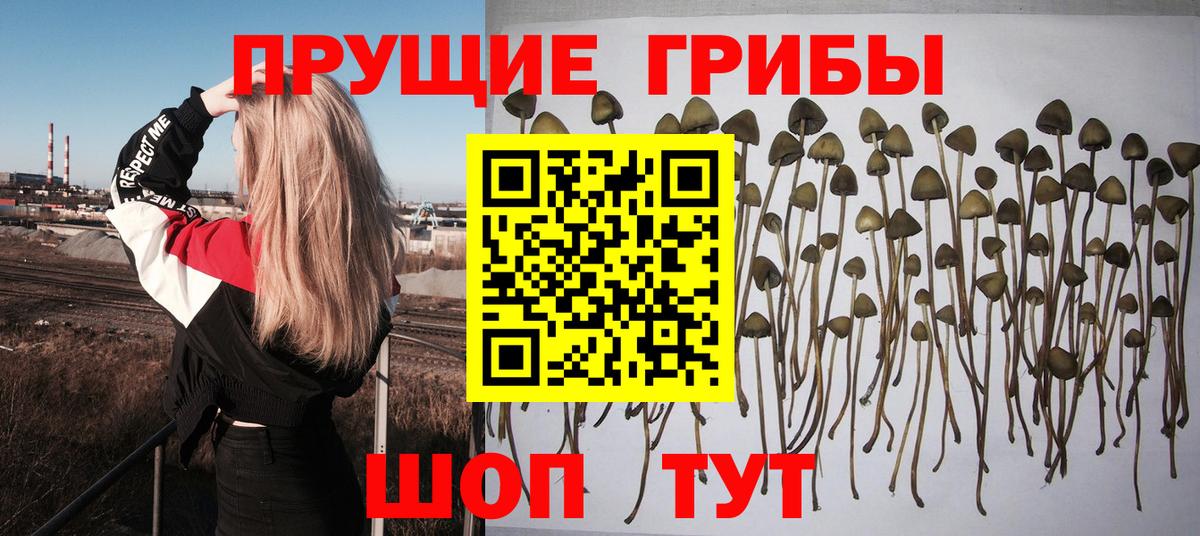 Ханты-Мансийск  Галлюциногенные грибы Psilocybe  даркнет сайт  Вход с VPN 
